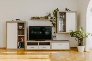 a living room with a television on a entertainment center at Große Ferienwohnung Burgenland in Eisenstadt