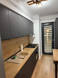 a kitchen with a sink and a stove at Garsonieră Park Residence Vâlcea in Râmnicu Vâlcea