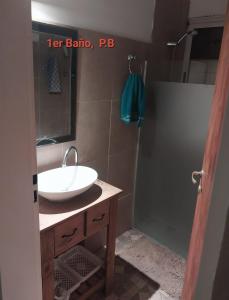 a bathroom with a sink and a shower at Cabaña Lago y Luna in Villa Ciudad Parque