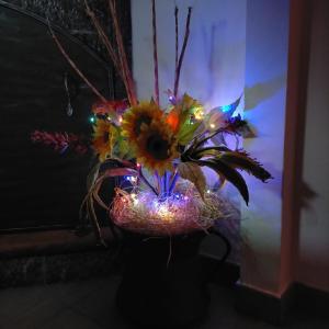 Fotografie z fotogalerie ubytování B&B GabrielMary' v destinaci Scafa