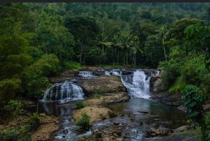 a waterfall in the middle of a forest at Ashvis cottage in Thekkady