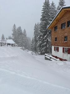 Haus Waldegg 84 v zimě