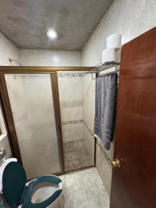 a bathroom with a shower and a toilet at Un lugar muy bien ubicado in Morelia +8 photos