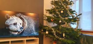 TV a/nebo společenská místnost v ubytování Maison Calme Terrasse et Jardin Vue Forêt
