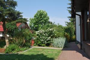 a garden with white flowers and a walkway at Agroturystyka pod Czarną Sosną in Biały Ług