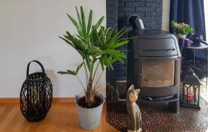 un gato sentado frente a una estufa con una planta en Stunning Home In Søgne With Wifi, en Søgne