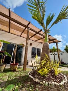 Zahrada ubytování Casa Las Palmas, comfort and privacy