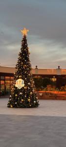 Ein Weihnachtsbaum mit einem Stern drauf in der Unterkunft HOLIDAYS HOMES ROME GOLF Appartamenti Marco Simone AeB in Marco Simone