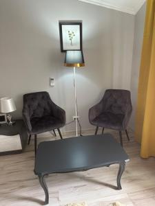 Posezení v ubytování Ștefan House 1