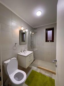 un bagno con un water bianco e un lavandino di Moolys place a Buşteni