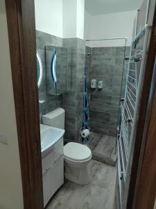 a bathroom with a toilet and a sink at Lumière Lounge in Craiova