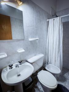 a bathroom with a sink and a toilet and a mirror at Hotel Alta Mendoza in Mendoza