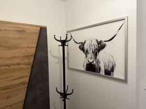 Animals a l'apartament o a prop
