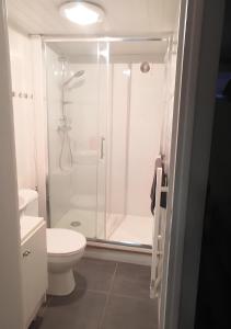 un bagno con doccia e WC di Mini STUDIO a Marsannay-la-Côte