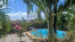 Bazén v ubytování Les Gites Capra - Villa Aiméandre piscine et Spa nebo v jeho okolí