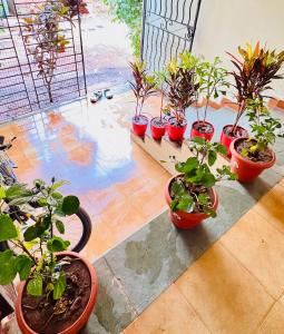 卡兰古特CBS 2Bhk Villa的相册照片