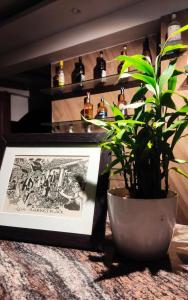 a plant sitting on a table next to a picture at Coconut Inn - Parra Goa in Mapusa +5 photos