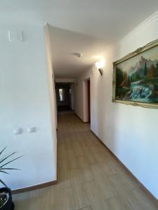 Photo de la galerie de l'établissement Casa Nicollae, à Silvaşu de Sus