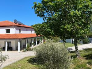 Um jardim no exterior de Casa Carvalhal - Adults Only
