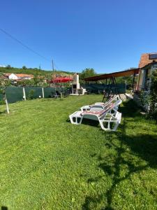 Photo de la galerie de l'établissement Casa Nicollae, à Silvaşu de Sus 10 autres photos