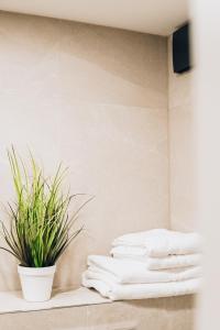 a stack of towels on a shelf with a plant at Kurortas Apartments in Palanga +69 photos