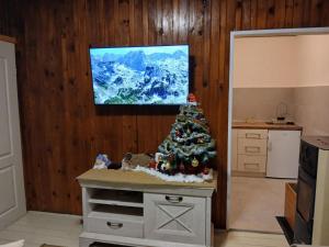 a kitchen with a christmas tree on a table at Holiday Home Stevas in Žabljak +12 photos