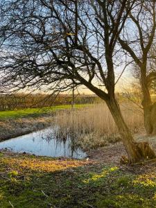 Fotografie z fotogalerie ubytování Gatekeepers house v destinaci Søllested