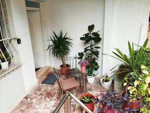 Un jardín fuera de Sazan Apartment
