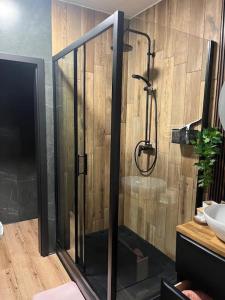 Kúpeľňa v ubytovaní Apartmán Laza