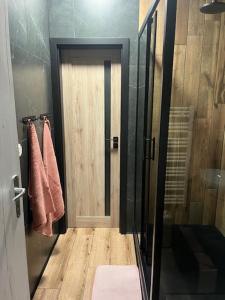 Kúpeľňa v ubytovaní Apartmán Laza