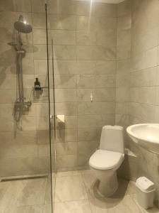 a bathroom with a toilet and a glass shower at Casa DaLi in Sibiu