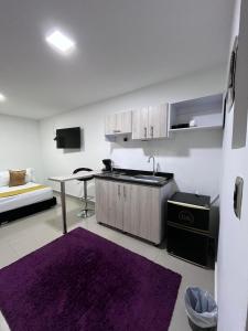 Köök või kööginurk majutusasutuses Hotel Granada Suites - AV 9