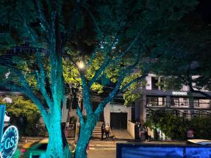 Aed väljaspool majutusasutust Hotel Granada Suites - AV 9