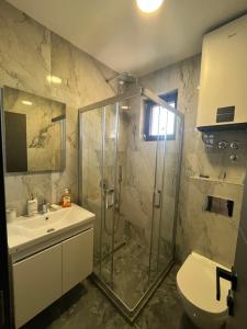 a bathroom with a shower and a sink and a toilet at Winter House in Kopaonik +17 photos