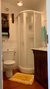 ein Badezimmer mit Dusche, Toilette und Waschbecken in der Unterkunft Precioso Duplex en Sanxenxo a 400m de las playas in Sanxenxo