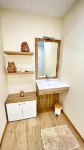 a bathroom with a sink and a mirror at Villa le Menhir 4 Ch au Bord du Lac et Terrasse in Villefranche-de-Panat +55 photos