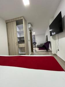 Televiisor ja/või meelelahutuskeskus majutusasutuses Hotel Granada Suites - AV 9