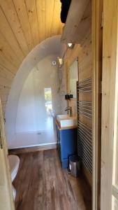 a bathroom with a sink and a toilet in a room at Duke End Retreat in Coleshill +45 photos