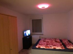 a bedroom with a bed and a tv in it at Ferienwohnung Ehrenfriedersdorf 18 in Ehrenfriedersdorf +1 photo