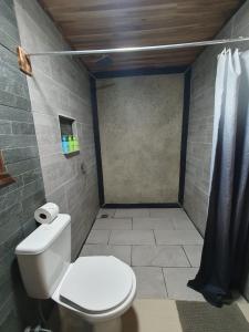 a bathroom with a toilet and a shower at El Chagüite monteverde #2 in Monteverde Costa Rica