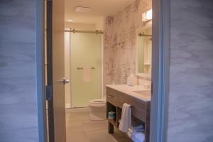 LogansportHome2 Suites By Hilton Logansport的带水槽、马桶和镜子的浴室