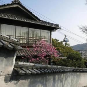 a building with a balcony with a pink flowering tree at j22 Authentic Trad villa experience in Onomichi