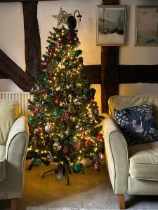 a christmas tree in a living room with two couches at Grade 2 Cottage 1 bedroom, Ludlow centre in Ludlow
