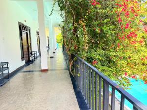 Bazén v ubytování Infinity Nature Resort nebo v jeho okolí
