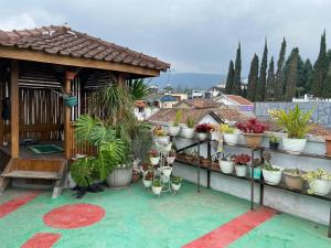 a bunch of potted plants on a wall at Prahu Dinar Syariah - Family in Lembang