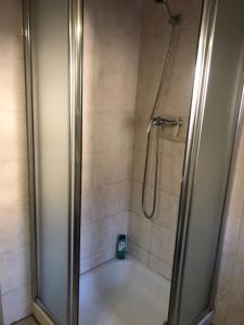 a shower with a glass door in a bathroom at Rustico Lucia in Gordevio