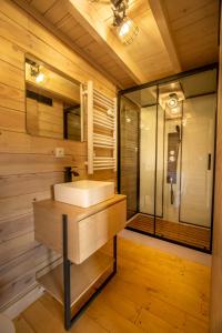 a bathroom with a sink and a shower at Chalet chevreuils du beillard in Gérardmer
