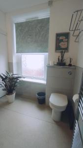 a bathroom with a toilet and a window at CASA JIMENEZ - Close to town with Shared bathroom in Cardiff +9 photos