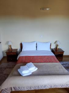 Postel nebo postele na pokoji v ubytování ΞΕΝΩΝΑΣ ΕΣΠΕΡΟΣ - Guest house Esperos