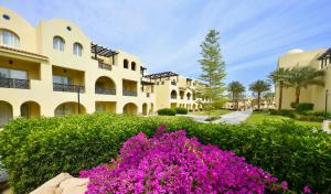 Zahrada ubytování Stella Gardens Resort & Spa, Makadi Bay